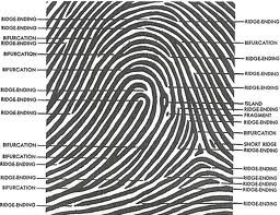 Problems of distorted fingerprints by ANIMESH CHATTERJEE