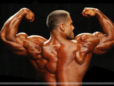 Trenbolone enanthate cycle length