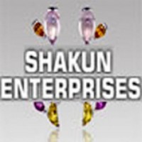 Shakun Enterprises