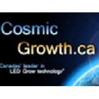 Cosmic Growth