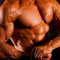 Huge Muscle Gains