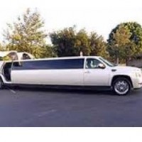 Safe Ride with a Cheap Party Bus Rental Near Me