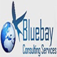 BlueBay Consulting