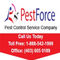 Reviewed by Pest Force Calgary