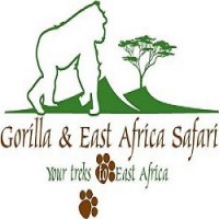 Gorilla Sof Uganda
