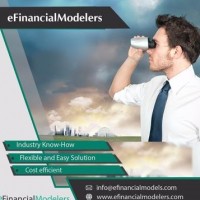 Efinancial Modelers