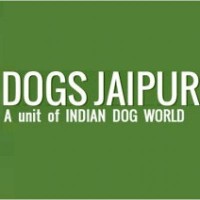Dogs Jaipur
