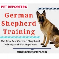 Reviewed by Pet Reporters