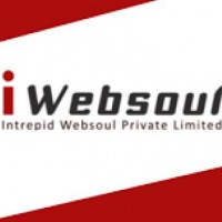iWebsoul Pvt Ltd
