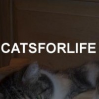 Catsfor Life