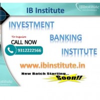 Ib Institute