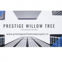 Prestigewillow Tree