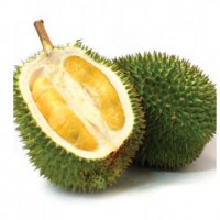 Durian Wholesale