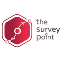 The Survey Point