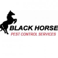 Black Horse Pest Control Services