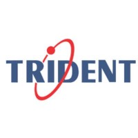 Trident Information Systems