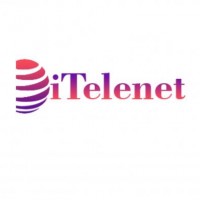 Achieve Master Data Management Success by ITelenet Services