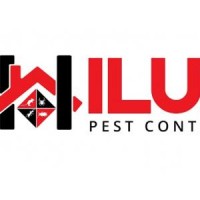 Hilux Pest
