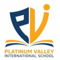 Platinum Valley International school