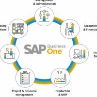SAP ERP Solution