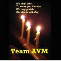 Team AVM