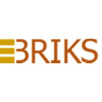 EBriks Infotech