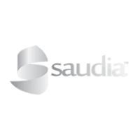 Saudia Web Design Company