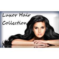 Luxor Hair Collection