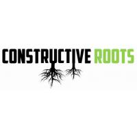Constructive Roots