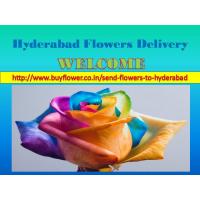 Hyderabad Online Florist