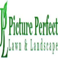 Picture Perfect Lawn