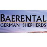 Baerental german shepherd