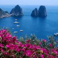 Amalfi Coast Tours