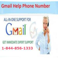 Gmail Support USA
