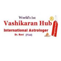 Vashikaran Specialist Hub