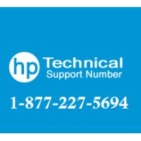 HP Support Phone Number