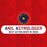 Anil Astrologer