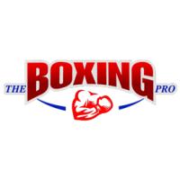 The Boxing Pro