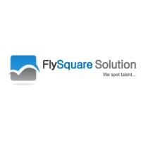 FlySquareSolution