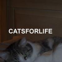 catsforlife