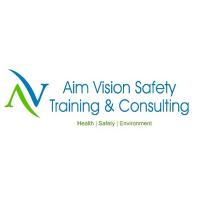 Aim Vision Safety