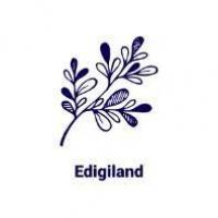 Edigiland