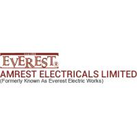 Amrest Electricals Ltd
