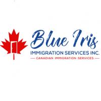Blue Iris Immigration