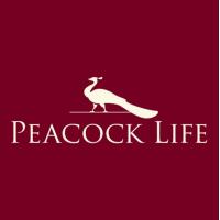 Peacock Life by Shabnam Gupta