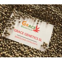Grace Genetics