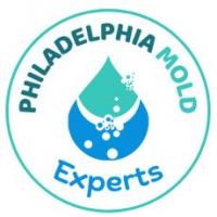 Mold Remediation Philadelphia Solut