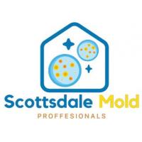 Mold Remediation Scottsdale Experts
