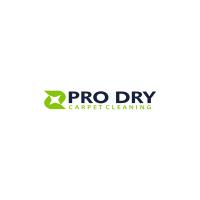 PRO DRY Carpet Cleaning