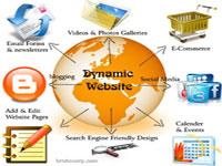 Dynamic websites USA